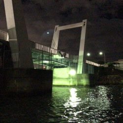 西宮跳ね橋委　台風それて　今夜もマルチ